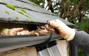 gutter cleaning Trenay, Cornwall