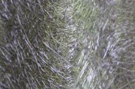 Trenay fibreglass roof work